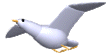 Bird-03-june.gif (15868 bytes)