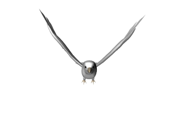 Animated Gif Dove