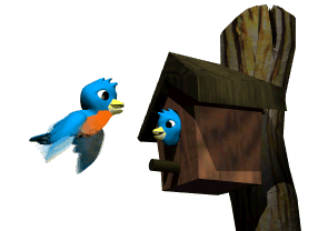 Great Animated Bird Gifs at Best Animations
