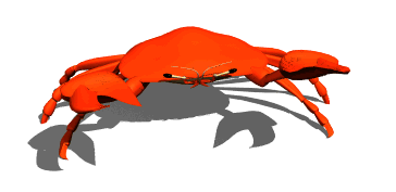 Image result for angry crab gif