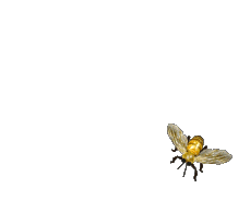 Download Cute Animated Gif Cute Animated Bee Pics
