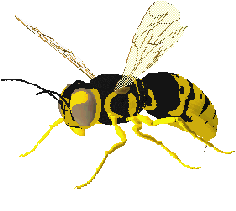 Animated Bee And Wasp Gifs at Best Animations