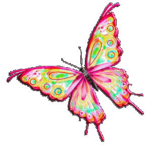 Beautiful Butterfly Animated Gif Images Animations Gambar Animasi Kupu Bergerak