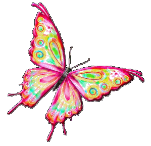 Image result for animated butterfly