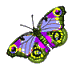 butterflyanimation-1