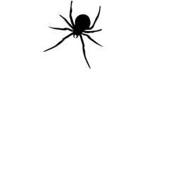 animated-spider-gif-13.gif