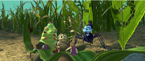 bugs-animated-gif-5.gif