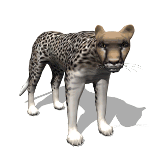 Amazing Animated Cheetah, Leopard, Panther Cat Gifs at Best Animations