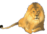 Amazing Animated Lion Gifs - Best Animations