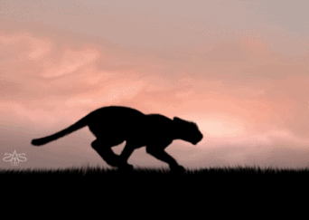 Great Animated Lion King Gif Images at Best Animations