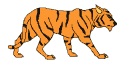 Tiger-02-june.gif (21729 bytes)