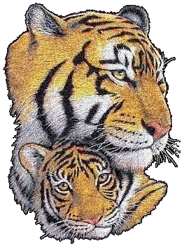 Cool Animated Tiger Gifs at Best Animations