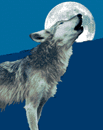 Wolf-03-june.gif (22514 bytes)