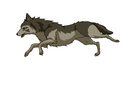 wolf-animated-gif-20.gif