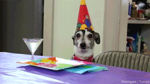 Image result for happy birthday dog cartoon gifs