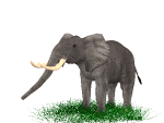Cute Elephant Clip Art Gifs at Best Animations