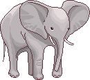 elephant animated