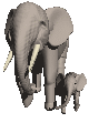 elephant animated
