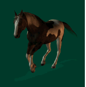 animated-horse-gif-10.gif