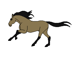 animated-horse-gif-26.gif