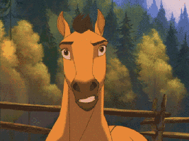 animated-horse-gif-32.gif#.W8N6bcIflcY.link