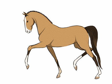 animated-horse-gif-41.gif
