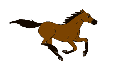 animated-horse-gif-44.gif