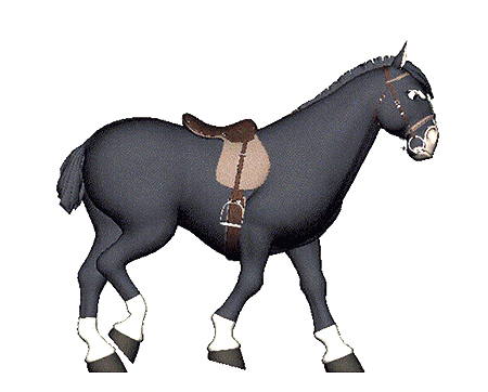 animated-horse-gif-85.gif