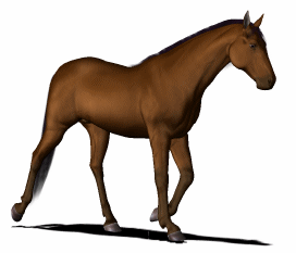 horse-walking-gif-animation2.gif