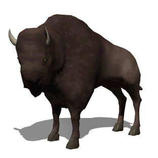 animated buffalo