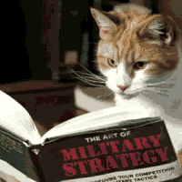 cat-reading-book-animation-2.gif