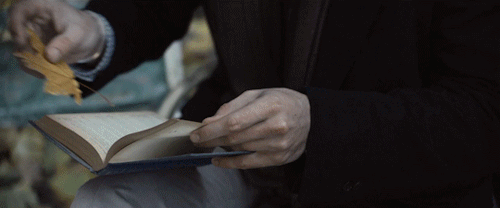 animated book gif