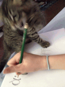 kitten-iterrupting-writing-cute-animated-gif.gif