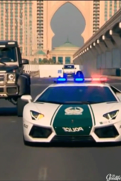 Great Animated Police Gifs at Best Animations
