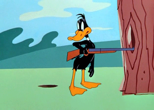 funny-duffy-duck-looney-toons-animated-gif-7.gif