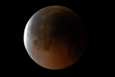 Image result for Moon eclipse gif