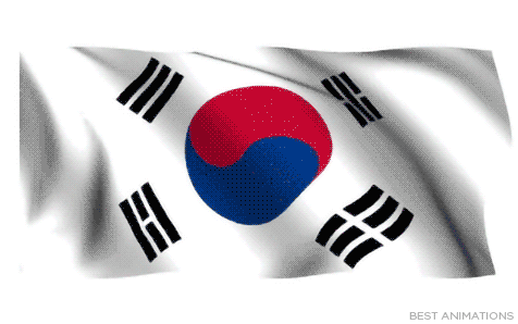 Image result for korean flag animation images