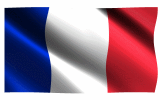 35 Great French Flag Animated Gifs - Best Animations