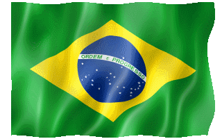 http://bestanimations.com/Flags/SouthAmerica/Brazil/brazilian-flag-animated-gif-3.gif