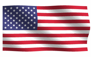 Image result for US flag animated gif