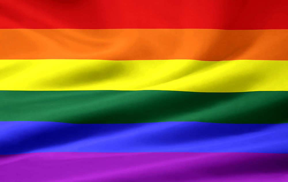 Gay Pride Flag 69