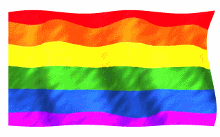 Image result for tiny waving pride flag gif