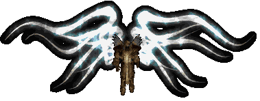 Tyrael-Diablo2-2.gif