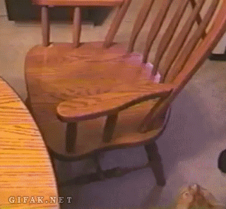 Funny Chair Animated Gifs - Best Animations