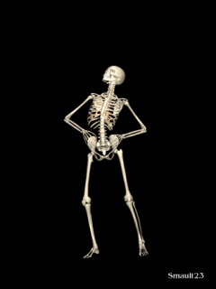 http://bestanimations.com/Humans/Skeletons/skeleton-animated-gif-5.gif