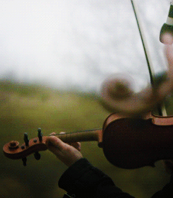 Violin Animated Art Gifs - Best Animations