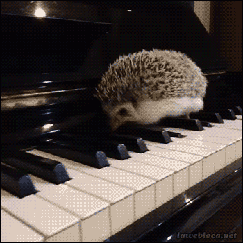 http://bestanimations.com/Music/Instruments/piano-playing-animated-gif-24.gif