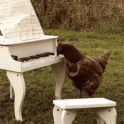 http://bestanimations.com/Music/Instruments/piano-playing-animated-gif-38.gif