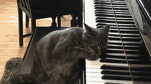 http://bestanimations.com/Music/Instruments/piano-playing-animated-gif-44.gif