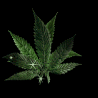 25 Weed Marijuana Animated Gif Images - Best Animations